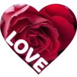 love wallpapers android application logo